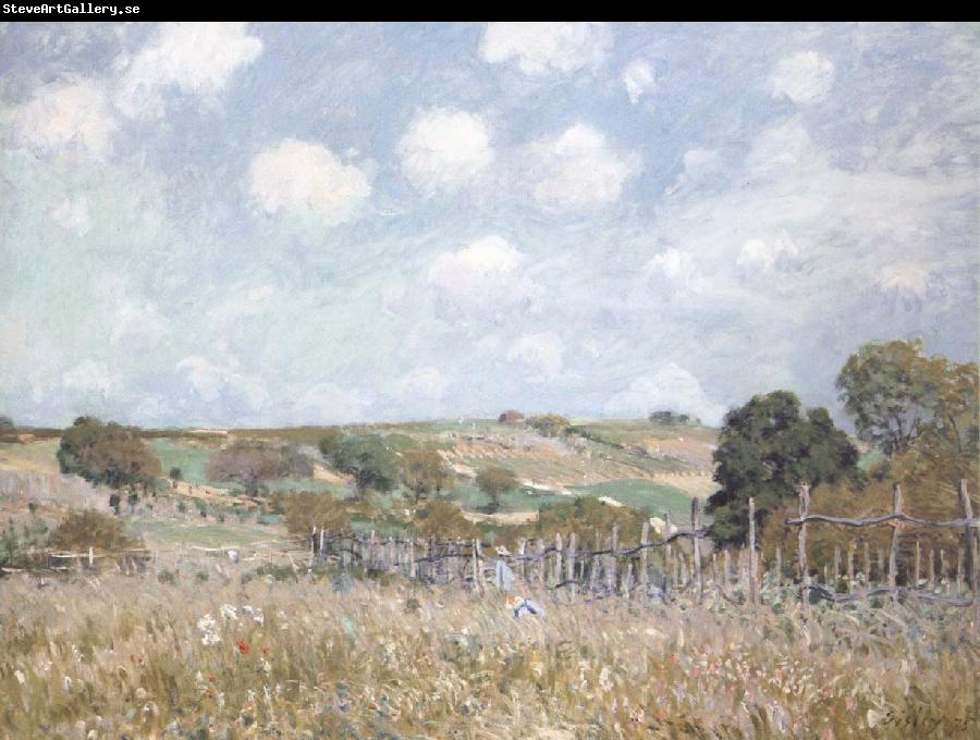 Alfred Sisley Ang